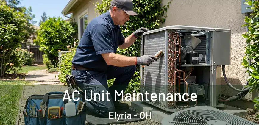 AC Unit Maintenance Elyria - OH